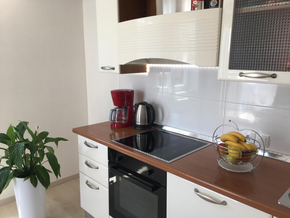 Apartments Roberta Novigrad Istria 외부 사진