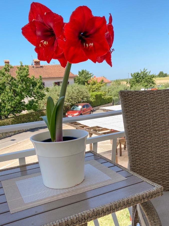 Apartments Roberta Novigrad Istria 외부 사진
