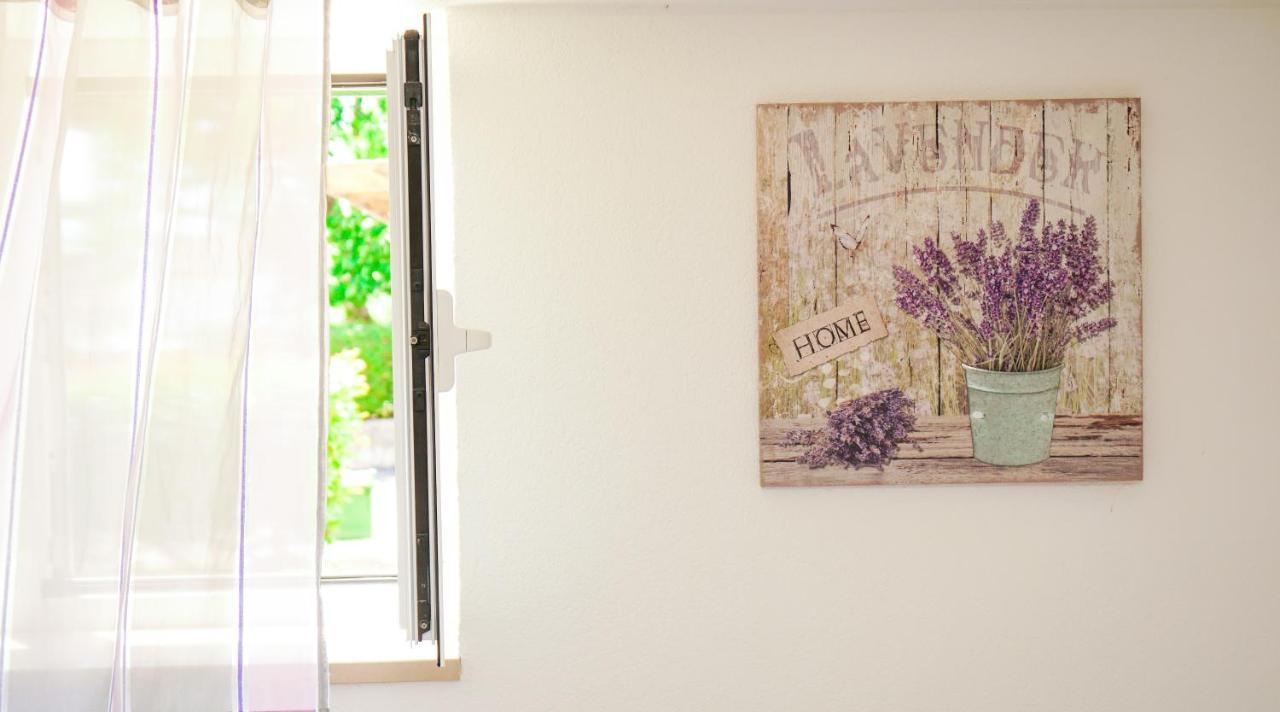 Apartments Roberta Novigrad Istria 외부 사진