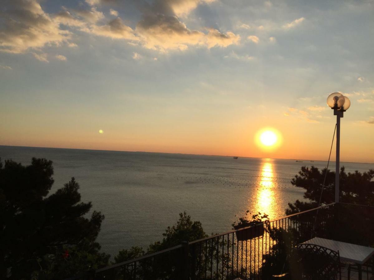 Apartments Roberta Novigrad Istria 외부 사진