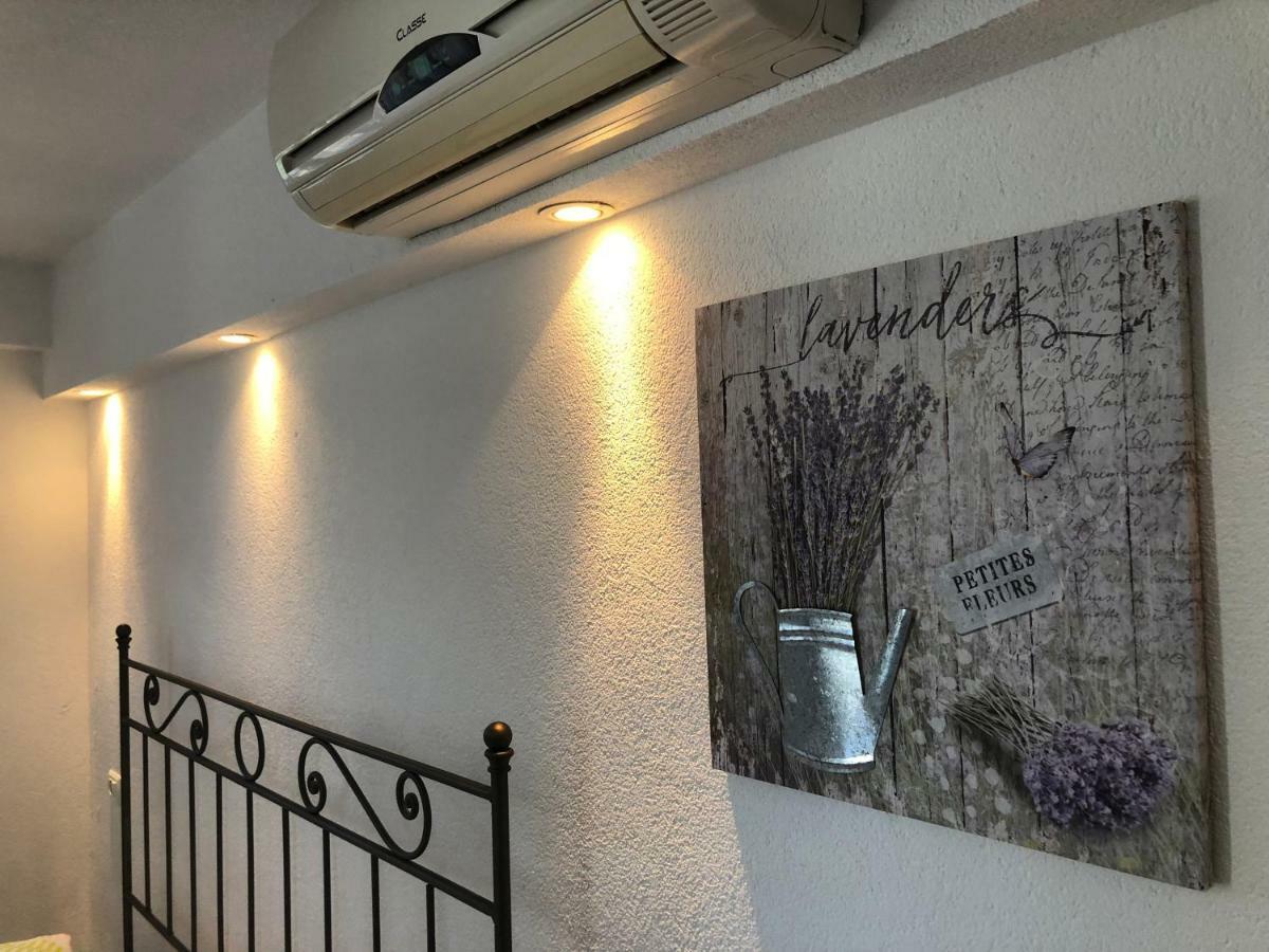 Apartments Roberta Novigrad Istria 외부 사진